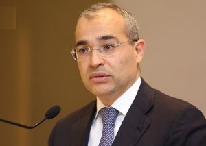 İqtisadi inkişafa stimul yaradan mütərəqqi vergi sisteminin tətbiqi müsbət nəticələr verir - Nazir