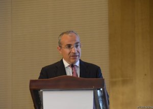 "Karabakh.Center" internet resursu Birinci vitse-prezident Mehriban Əliyevanın təşəbbüsü ilə yaradılıb - Mikayıl Cabbarov
