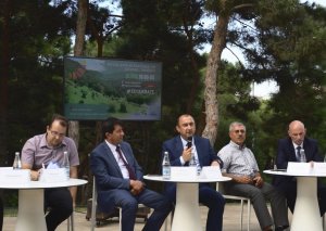 Ekoaktivistlər ağacların qanunsuz kəsilməsinin dayandırılmasına nail oldular (FOTO)