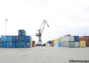 “Bir Pəncərə” vasitəsilə ixrac edilən məhsulların dəyəri 595 milyon dollar olub