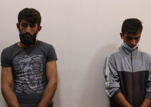 Balakəndə fındıq oğurlayan xalaoğlular saxlanılıb