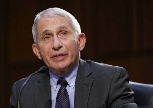 ABŞ-ın baş infeksionisti: "Pandemiya yazda bitəcək"