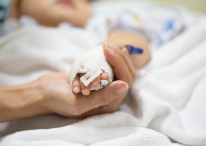 Zaqatalada da 3 nəfər göbələkdən zəhərləndi