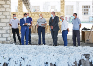 Deputat  Goranboyda pambıq yığımı ilə tanış oldu