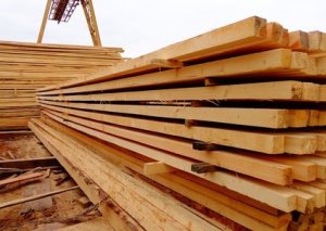 Ağac sexlərində qanunsuz meşə materialı aşkarlanıb
