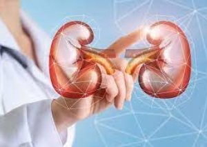 Yeni təhlükə - xroniki böyrək xəstəlikləri epidemiyası
