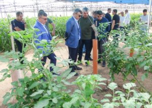 Azərbaycanla İsrail aqrar tədqiqatlar sahəsində əməkdaşlığı genişləndirəcək