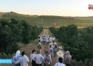 Bu kəntdə yalnız qadınlar yaşayır, kişilər isə yalnız bazar günü gələ bilər