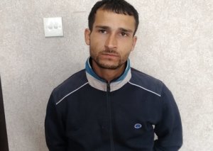 Şirvanda iri buynuzlu heyvanları oğurlayan iki qardaş saxlanılıb