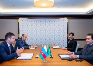 Səudiyyə Ərəbistanından Azərbaycana investisiya qoyuluşu imkanları müzakirə edilib