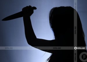 Astarada qohumunu öldürən qadının cinayət işi məhkəməyə göndərildi