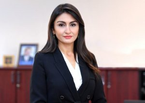 Azərbaycan mediasına gəlir, mənfəət və ƏDV üzrə güzəştlər tətbiq ediləcək