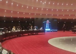 Azərbaycanlı deputat İrəvanda erməniyə söz vermədi