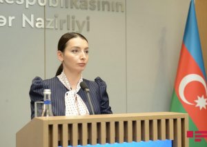 XİN Ukraynada həlak olan Azərbaycan vətəndaşlarının sayını açıqlayıb