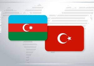 Azərbaycanla Türkiyə arasında qida təhlükəsizliyi sahəsində əməkdaşlıq sazişi təsdiqlənib