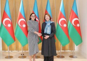 Mehriban Əliyeva Böyük Britaniya Baş nazirinin Azərbaycan üzrə ticarət elçisi ilə görüşüb