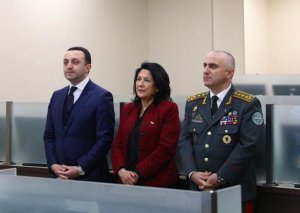Gürcüstanda hökumət prezidenti məhkəməyə verdi