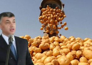  “Broker Əbülfəz”in 450 min dollarlıq kartof qalmaqalı -