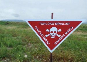 XİN-dən Tərtərdəki mina partlayışı ilə bağlı paylaşım