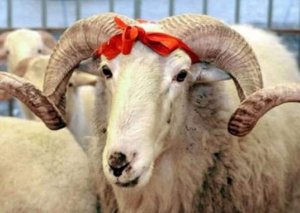 Bu gün Azərbaycanda Qurban bayramıdır