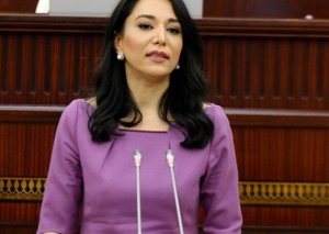 Azərbaycan Ombudsmanı Ermənistana sanksiya tətbiq etməyə çağırdı