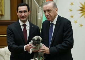 Prezidentlər niyə bir-birinə it hədiyyə etdi? - Fotolar