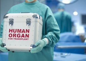 Şəxsin ölümündən sonra orqanlarının bağışlanması ilə bağlı razılıq ərizəsinin forması təsdiqlənib