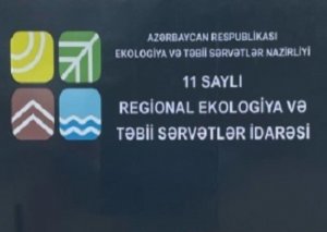 11 saylı Regional Ekologiya İdarəsindən damğa necə oğurlanıb? - İLGİNC İDDİALAR...