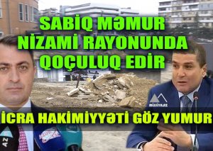 Sabiq məmur Nizami rayonunda qoçuluq edir - İcra Hakimiyyəti göz yumur - FOTOLAR