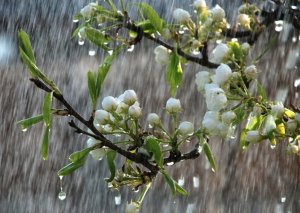 Yağıntılı və soyuq hava BU TARİXƏDƏK davam edəcək