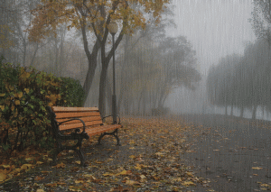 Hava ilə bağlı - Xəbərdarlıq