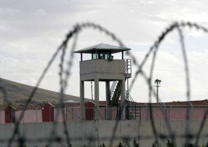 Gürcüstan həbsxanalarında ən çox hansı ölkələrin vətəndaşları saxlanılır? – Siyahı