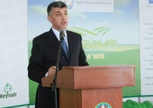 Gömrükdə oğurlanan pullar İNDİ-İNDİ ORTAYA ÇIXIR... - HƏM DƏ...