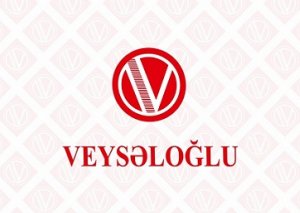 "Veysəloğlu" MMC cərimələndi - Gömrük qaydalarını pozduğuna görə