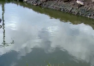 “Kanalizasiya suyu ətrafa dağılır, baxan yoxdur” - Sabunçudan şikayət