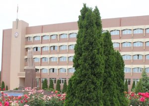 “İcra başçısının sakinlərə qarşı sayğısızlığı və laqeydliyi dözülməz həddə çatıb” - Göygöl sakinləri zibil qabları olmamasından ŞİKAYƏTÇİDİR