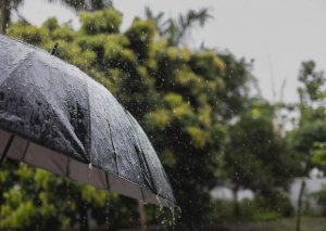 Küləkli hava şəraiti ilə bağlı sarı xəbərdarlıq