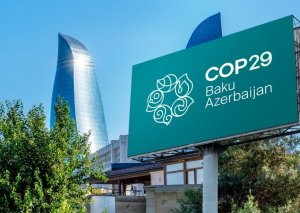 COP29 könüllülərinə 1500 manat verilir