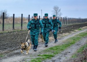 Sərhəddə ƏMƏLİYYAT: Kütləvi saxlanılanlar var