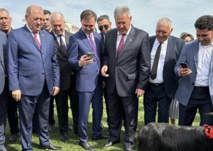 İcra başçısı bacısı oğlu ilə birlikdə xoruz döyüşdürdü - FOTO