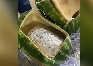 Astarada qarpızların içindən 63 kq narkotik çıxdı - Foto