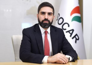 Rövşən Nəcəf bu xanıma vəzifə verdi - FOTO