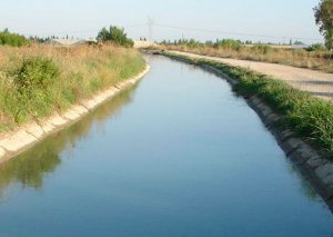 Masallıda 20 yaşlı gənc kanalda boğuldu