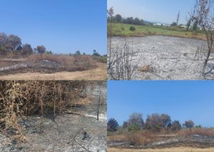 Lənkəranda yanğın törədən şəxs saxlanılıb