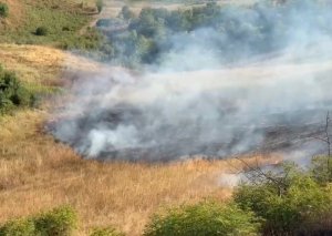 Xocalı və Xocavənddə yanğına səbəb olan şəxslər saxlanılıblar