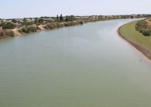 Kürdən qadın meyiti tapıldı