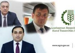 Fəda Abbasov Elçin Zeynalovla necə anlaşdı? – Direktor daha yüksək vəzifəyə hazırlaşır?