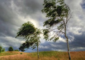 Leysan olacaq, dolu düşəcək - Xəbərdarlıq