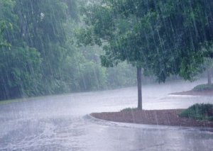 Qeyri-sabit hava şəraiti BU TARİXƏDƏK davam edəcək