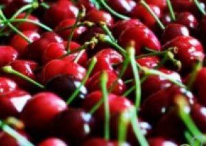 Fitosanitar Xidmətdən gilas açıqlaması: